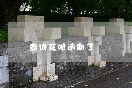 查询花呗逾期了 查询花呗逾期了