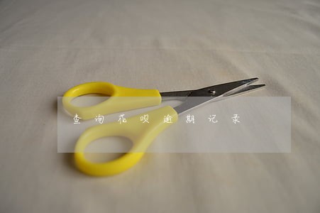 查询花呗逾期记录 查询花呗逾期记录