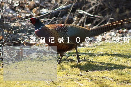 查询记录100多次没有逾期过 查询记录100多次没有逾期过