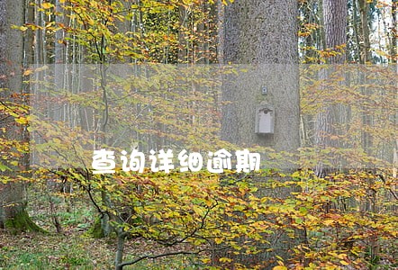 查询详细逾期 查询详细逾期