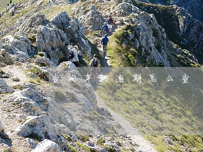 查询车辆逾期怎么查 查询车辆逾期怎么查