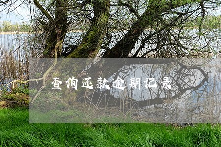 查询还款逾期记录 查询还款逾期记录