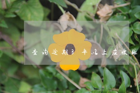 查询逾期3年以上应收账款 查询逾期3年以上应收账款