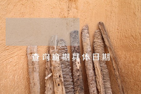 查询逾期具体日期 查询逾期具体日期