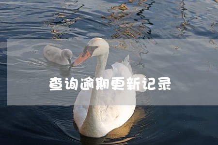 查询逾期更新记录 查询逾期更新记录