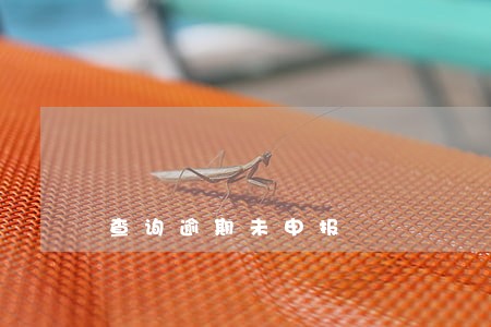 查询逾期未申报 查询逾期未申报