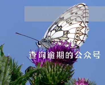查询逾期的公众号 查询逾期的公众号