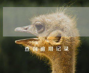 查询逾期记录 查询逾期记录