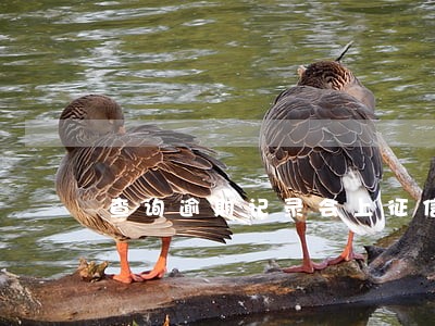 查询逾期记录会上征信吗
