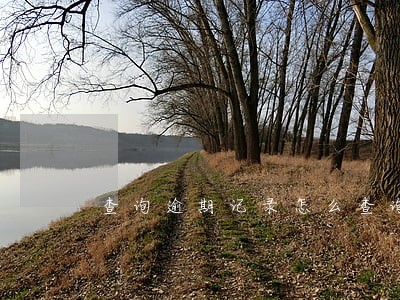 查询逾期记录怎么查询 查询逾期记录怎么查询