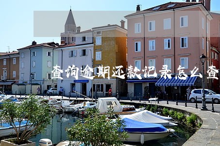 查询逾期还款记录怎么查询 查询逾期还款记录怎么查询