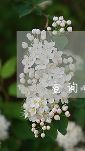 查询邮政信用卡是否逾期 查询邮政信用卡是否逾期