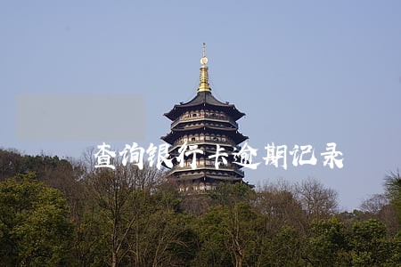 查询银行卡逾期记录 查询银行卡逾期记录