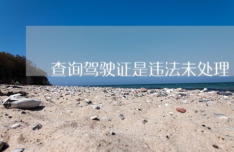 查询驾驶证是违法未处理 查询驾驶证是违法未处理