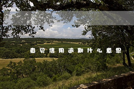 查贝信用逾期什么意思