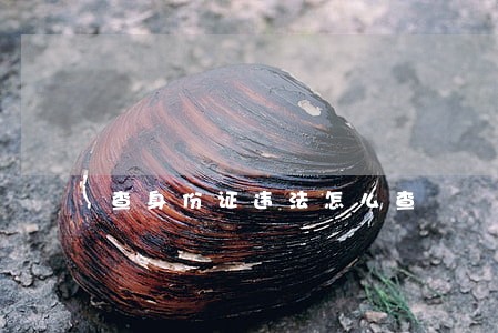 查身份证违法怎么查