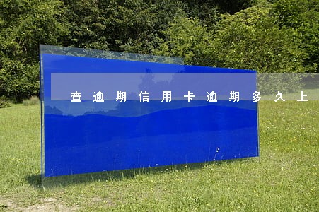查逾期信用卡逾期多久上征信 查逾期信用卡逾期多久上征信