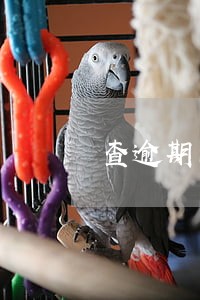 查逾期的不良信用记录吗 查逾期的不良信用记录吗