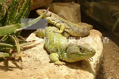 查银行卡逾期去哪里查 查银行卡逾期去哪里查