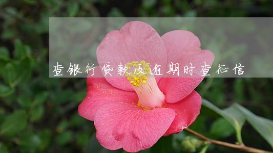 查银行贷款没逾期时查征信 查银行贷款没逾期时查征信