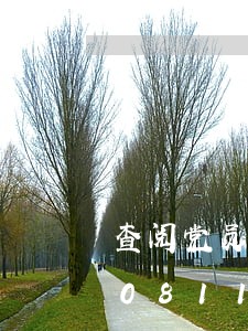 查阅党员违法信息的函/2023020408117 查阅党员违法信息的函/2023020408117