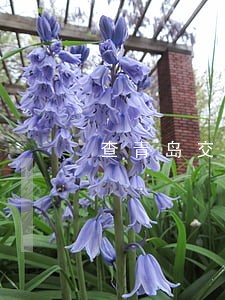 查青岛交通违法电话 查青岛交通违法电话