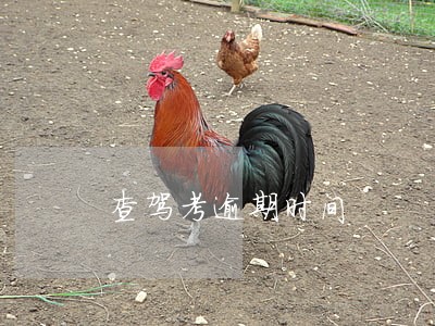 查驾考逾期时间
