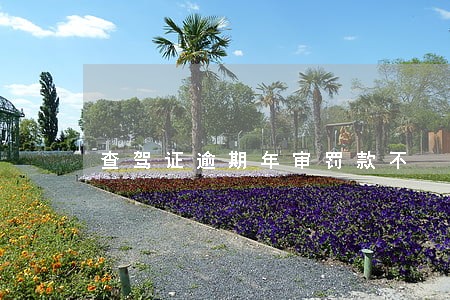 查驾证逾期年审罚款不