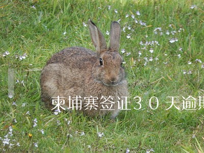 柬埔寨签证30天逾期 柬埔寨签证30天逾期