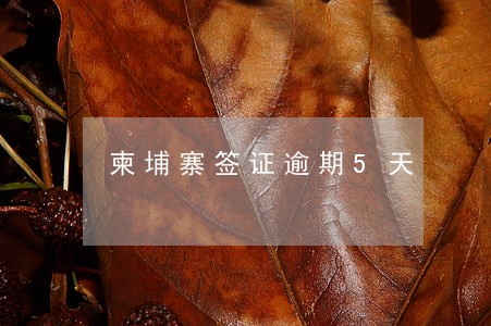 柬埔寨签证逾期5天 柬埔寨签证逾期5天