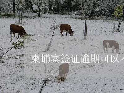 柬埔寨签证逾期可以不罚款吗 柬埔寨签证逾期可以不罚款吗