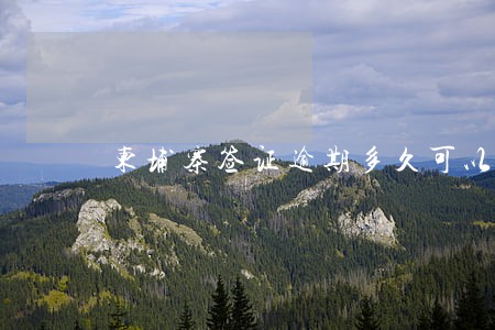 柬埔寨签证逾期多久可以交钱 柬埔寨签证逾期多久可以交钱