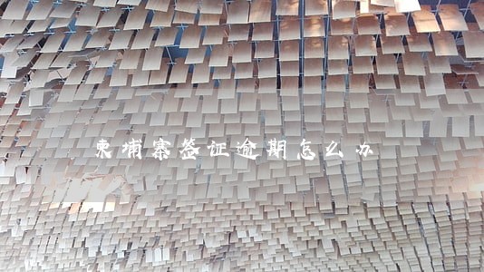 柬埔寨签证逾期怎么办