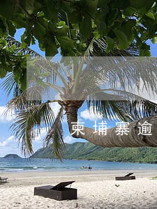柬埔寨逾期两年怎么回家 柬埔寨逾期两年怎么回家