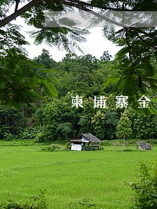 柬埔寨金边房产专业法律顾问 柬埔寨金边房产专业法律顾问