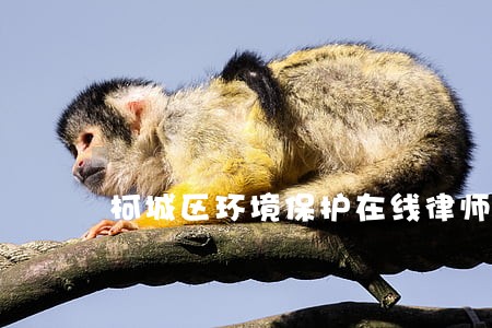 柯城区环境保护在线律师 柯城区环境保护在线律师