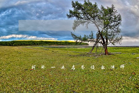 柯桥一流名誉侵权律师 柯桥一流名誉侵权律师