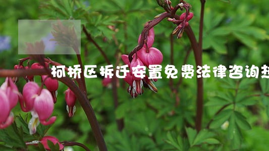柯桥区拆迁安置免费法律咨询热线 柯桥区拆迁安置免费法律咨询热线