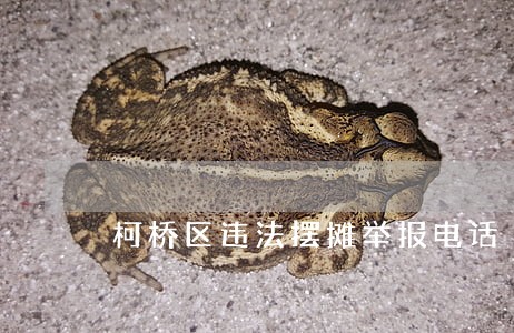 柯桥区违法摆摊举报电话 柯桥区违法摆摊举报电话