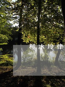 柳冰玲律师 柳冰玲律师