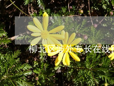 柳北区涉外专长在线律师 柳北区涉外专长在线律师