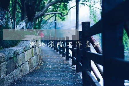 柳北法院工作直播 柳北法院工作直播