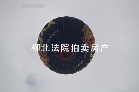 柳北法院拍卖房产