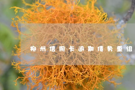 柳州信用卡逾期债务重组怎么协商 柳州信用卡逾期债务重组怎么协商
