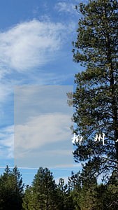 柳州全市法院收案16712件 柳州全市法院收案16712件