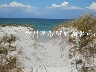柳州准备阿里拍卖司法拍卖房产 柳州准备阿里拍卖司法拍卖房产