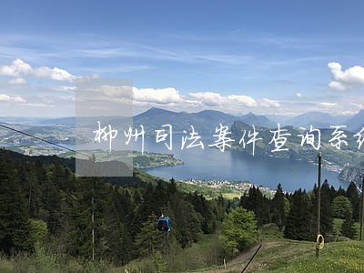 柳州司法案件查询系统 柳州司法案件查询系统