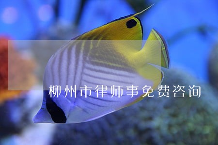 柳州市律师事免费咨询 柳州市律师事免费咨询