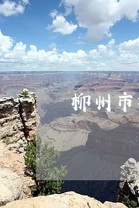 柳州市柳北区法院投诉电话