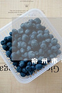 柳州市柳北法院执行局